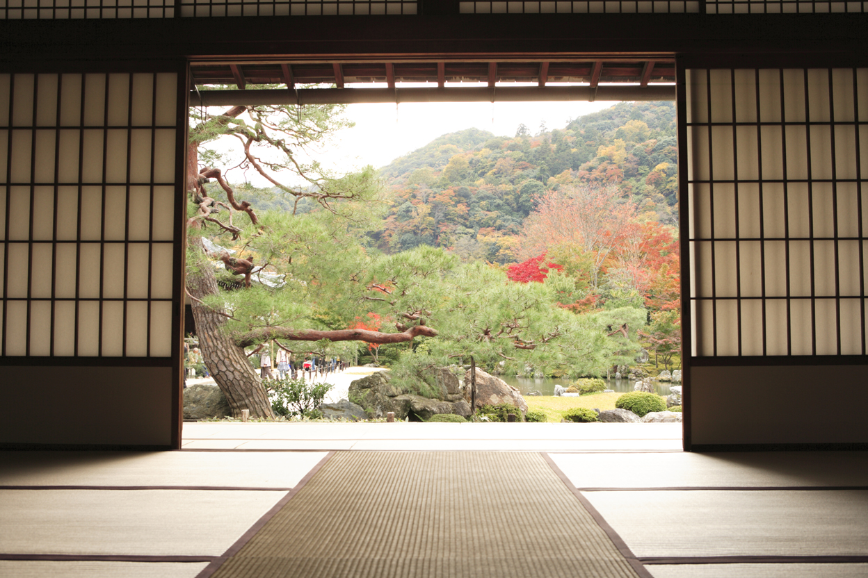 Inside a building overlooking the Japanese landscape